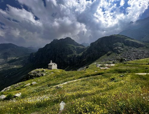 Απάντηση στο “Μη φεύγετε ακόμα φίλοι μου!”